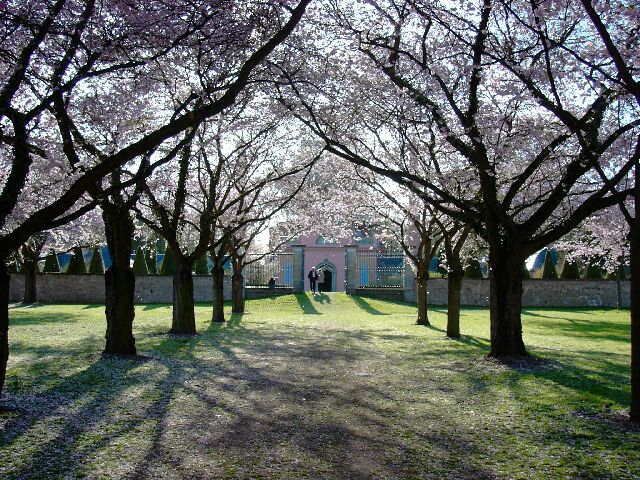 Schlossgarten Schwetzingen